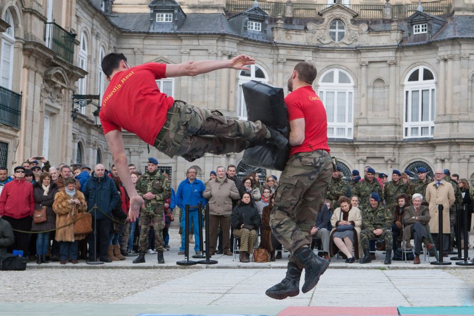 Actividades del Ejercicio de la Guardia Real Segovia 2014