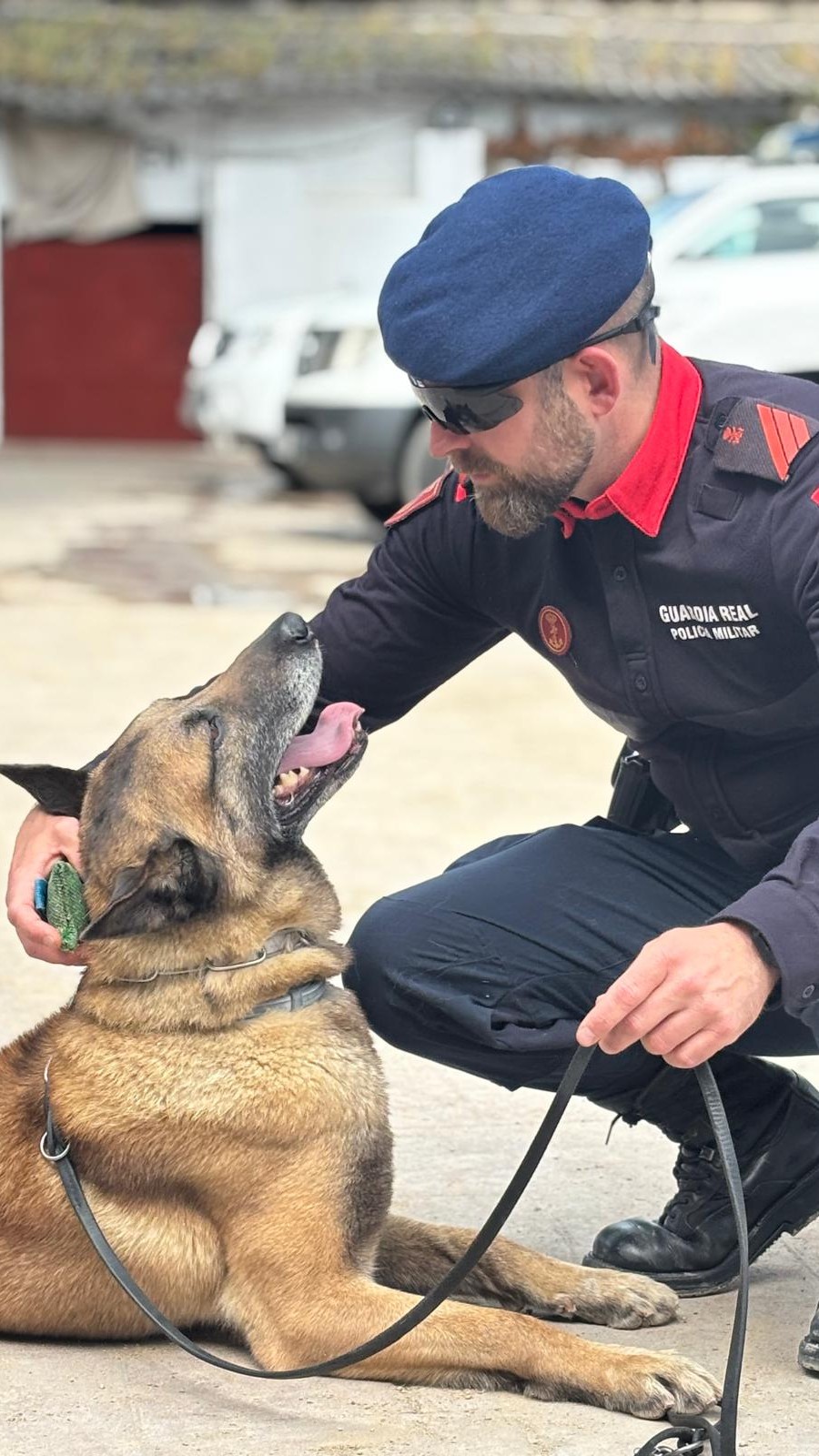 Uno de nuestros binomios caninos