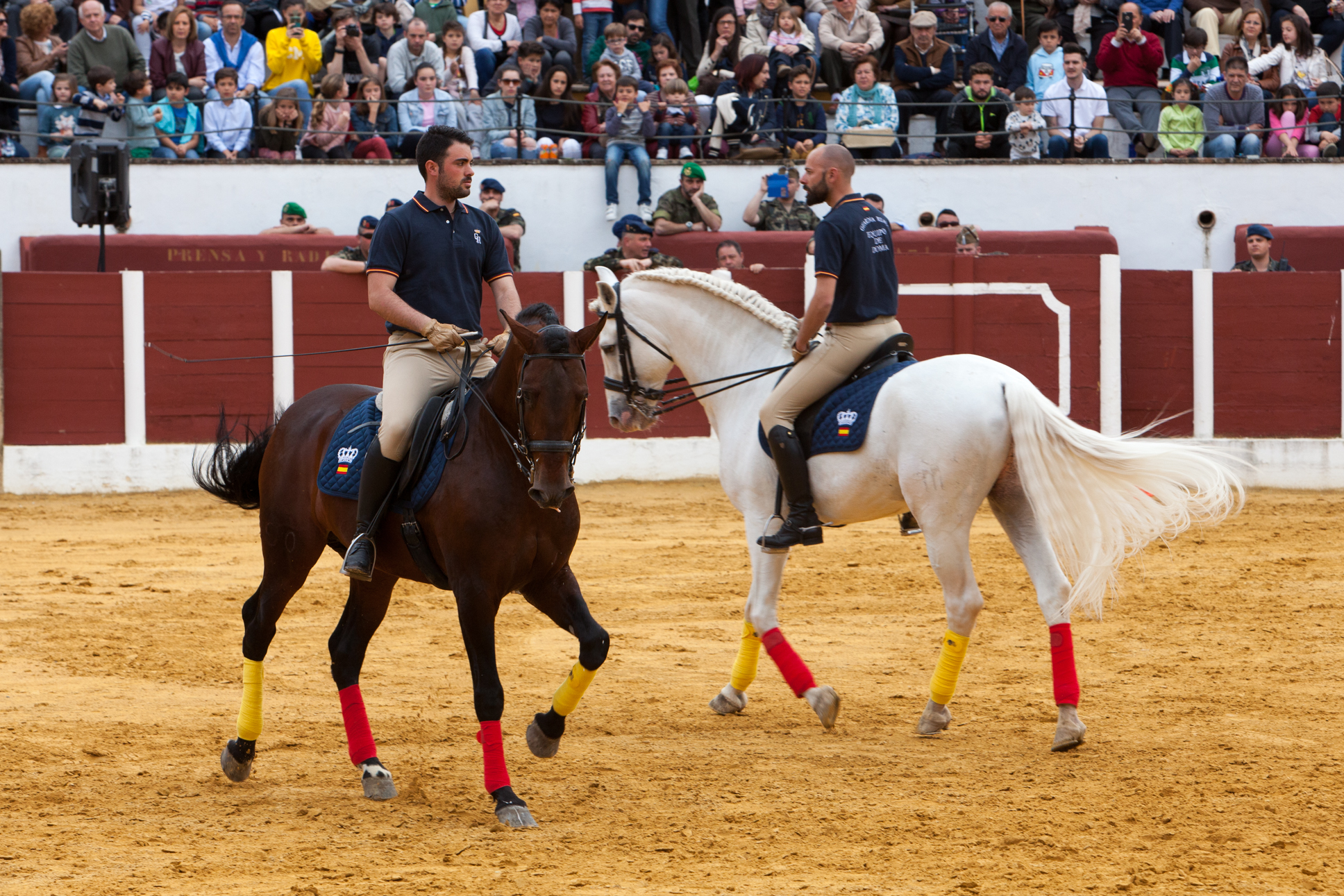 Exhibición de destrezas de personal de la Guardia Real con sus caballos de Pura Raza Española