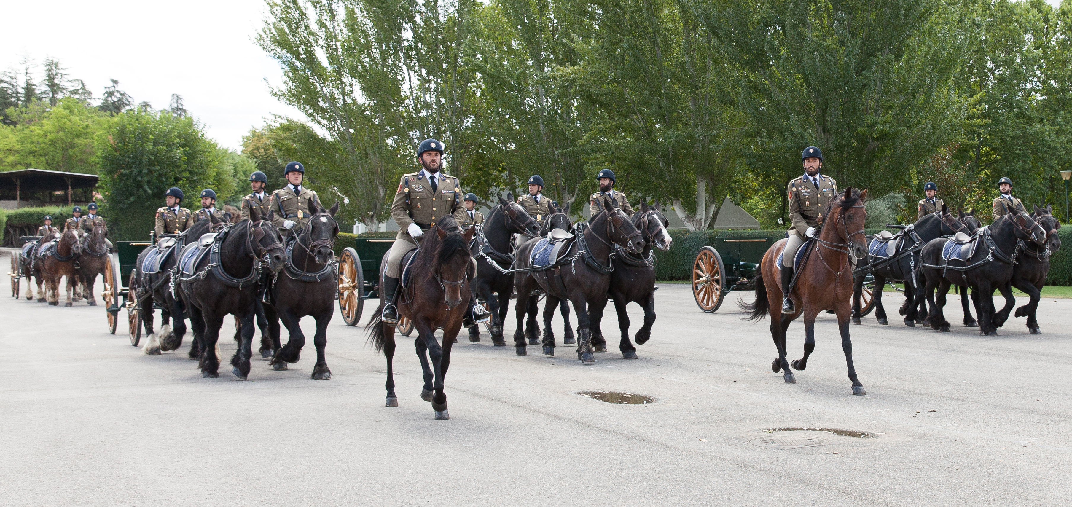 El caballo en los ejércitos