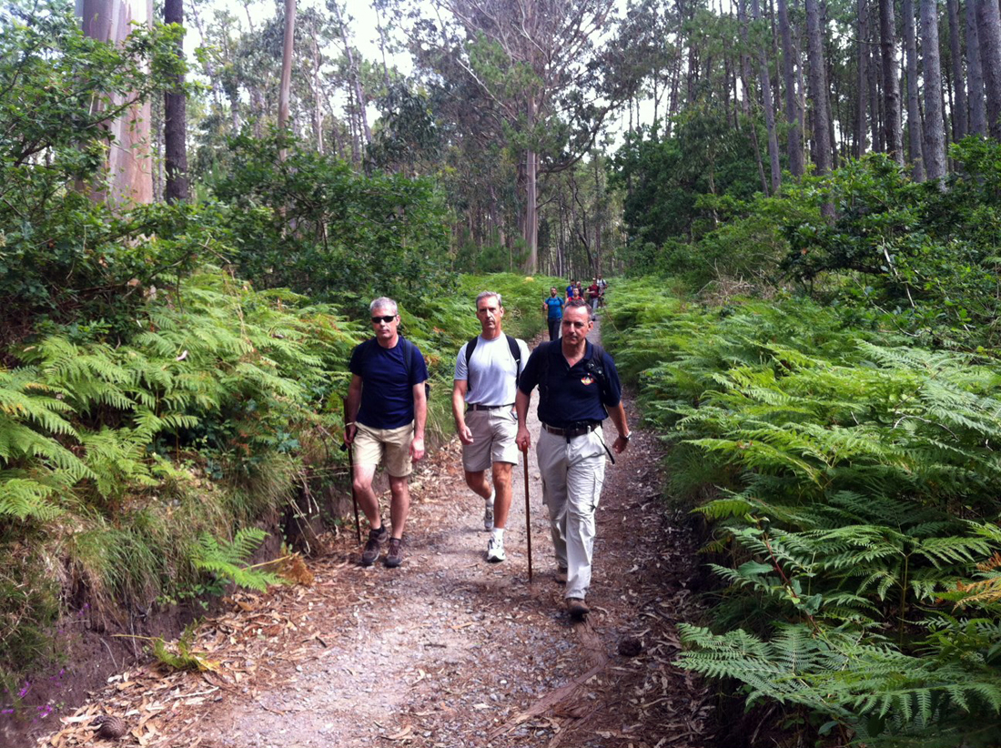 Peregrinación hacia Santiago de Compostela
