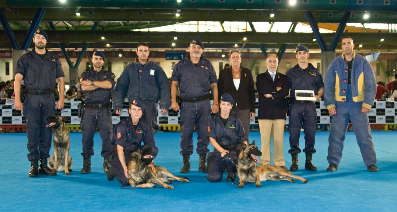 Componentes de la sección de guías de perros
