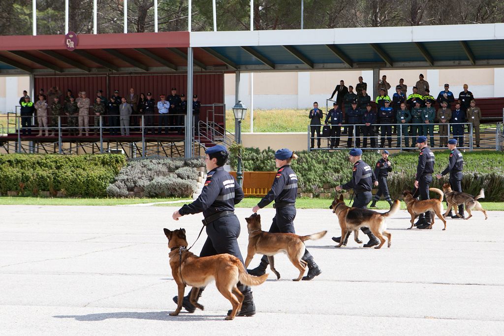 Scc. de guías durante un ejercicio