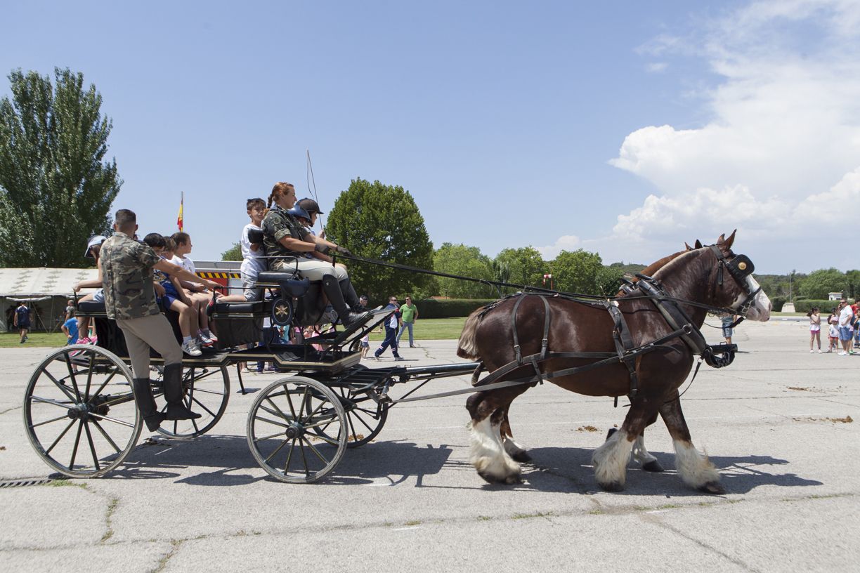 Actividades que tratan de mostrar a las familias el trabajo diario de esta unidad
