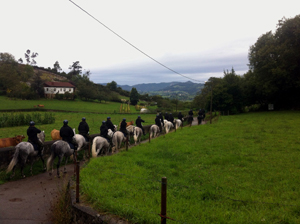La Batería Real en orden de marcha
