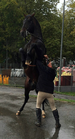 El Escuadrón de Escolta Real en la brega desde primera hora