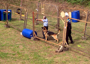 Ejercicio de fuego real