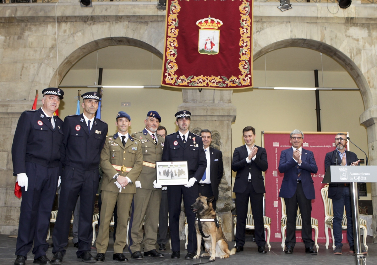 Componentes de la Sección de Guías de Perros