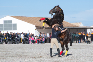 Doma con rienda larga en la exhibición en MijasDoma con rienda larga en la exhibición en Mijas