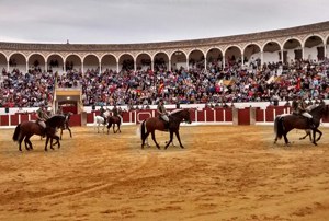 El Escuadrón de Escolta Real durante la exhibición en Antequera