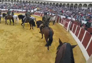 Una Guardia Real caída del cielo