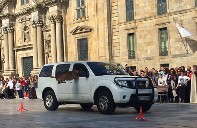 Ejercicio de control de accesos realizado por la Compañía de Control Militar durante la exhibición en Celanova