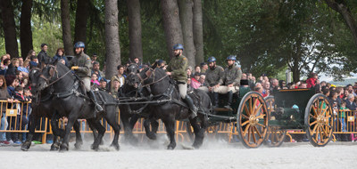 Entrada en posición de la Sección Hipomóvil de la Batería Real durante su exhibición en Xinzo de Limia