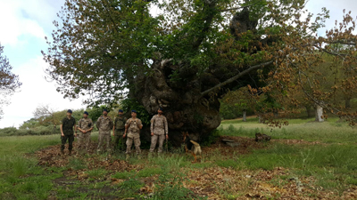 Personal de la Agrupación de Apoyo junto al castaño milenario de Viana do Bolo