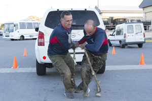Obstáculos durante la carrera