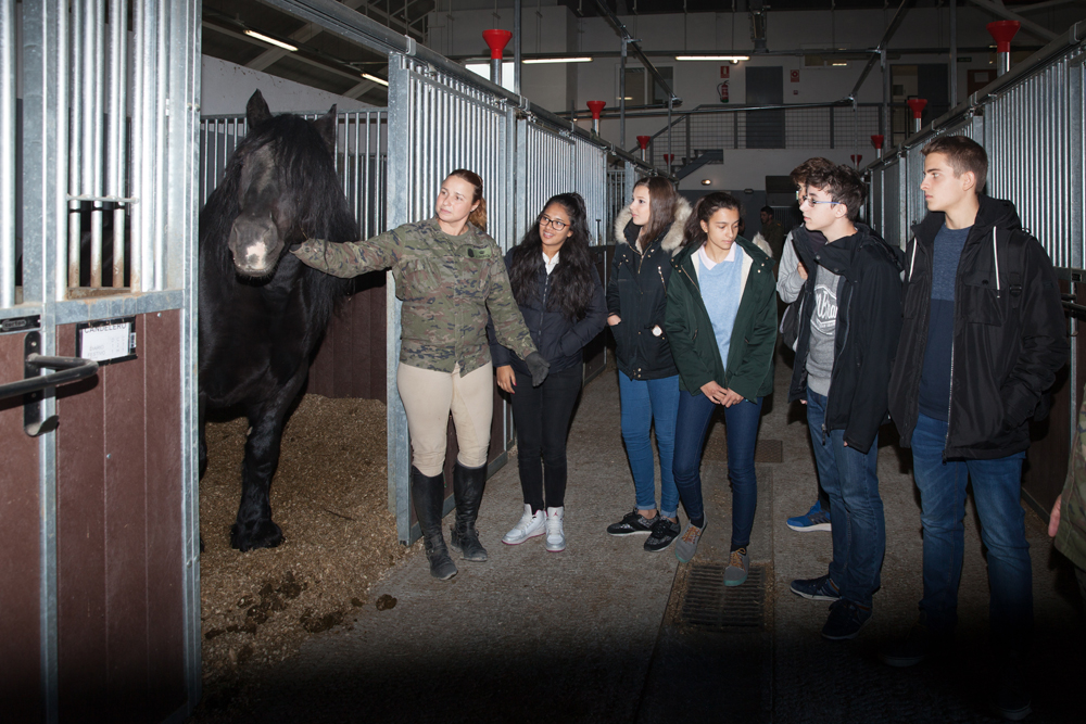 Visita a las cuadras de la Batería Real