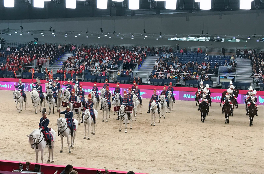 Caballos y jinetes del Escuadrón de Escolta Real y de la Batería Real