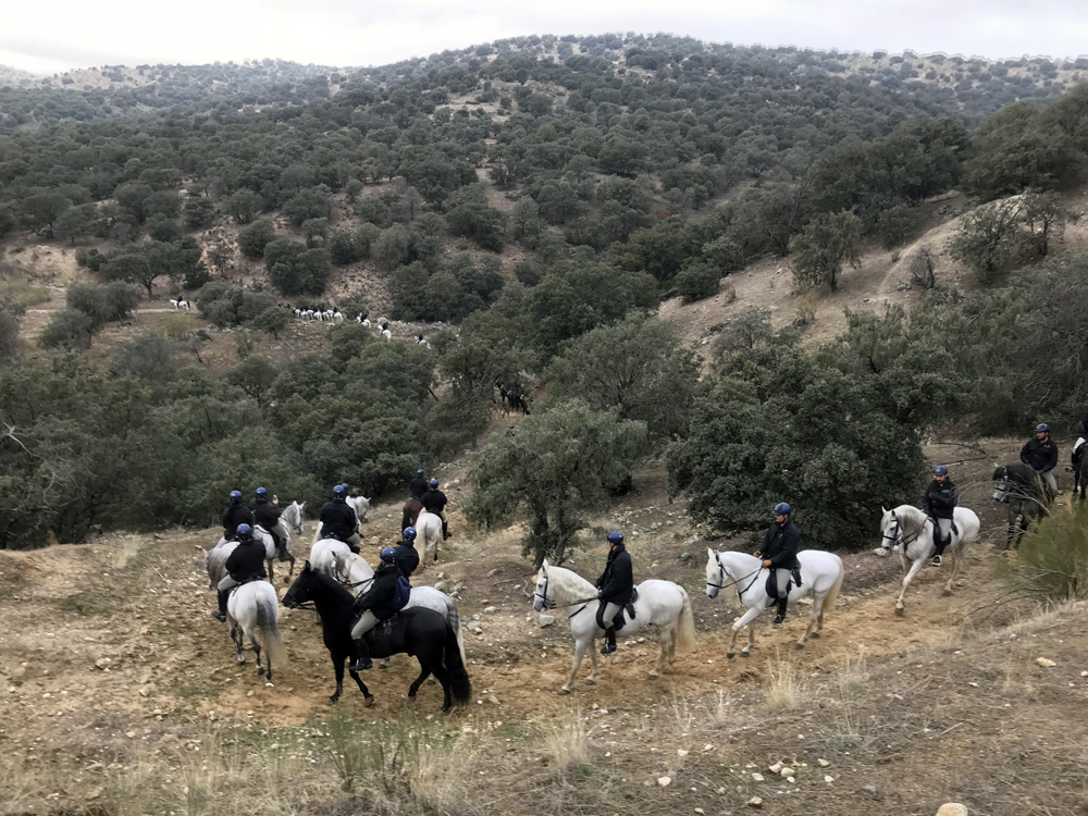 Exigente instrucción del Escuadrón de Escolta Real