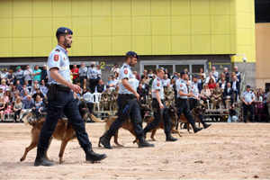 La Sección de guías caninos en la exhibición en Vila-Real