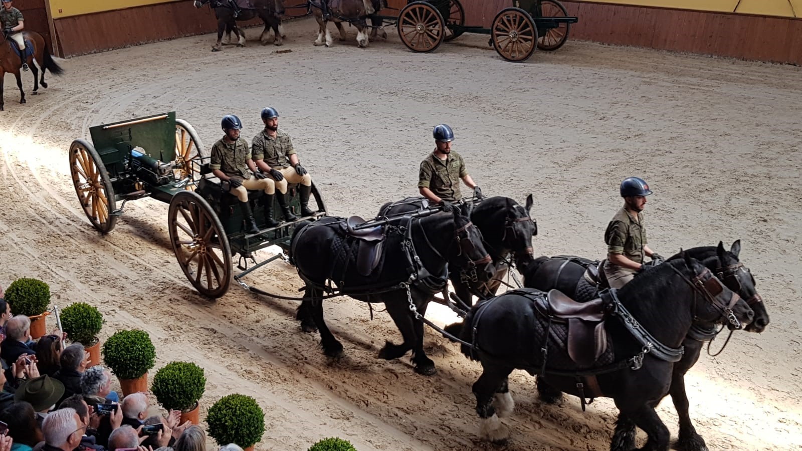 Los caballos hispano bretones en acción