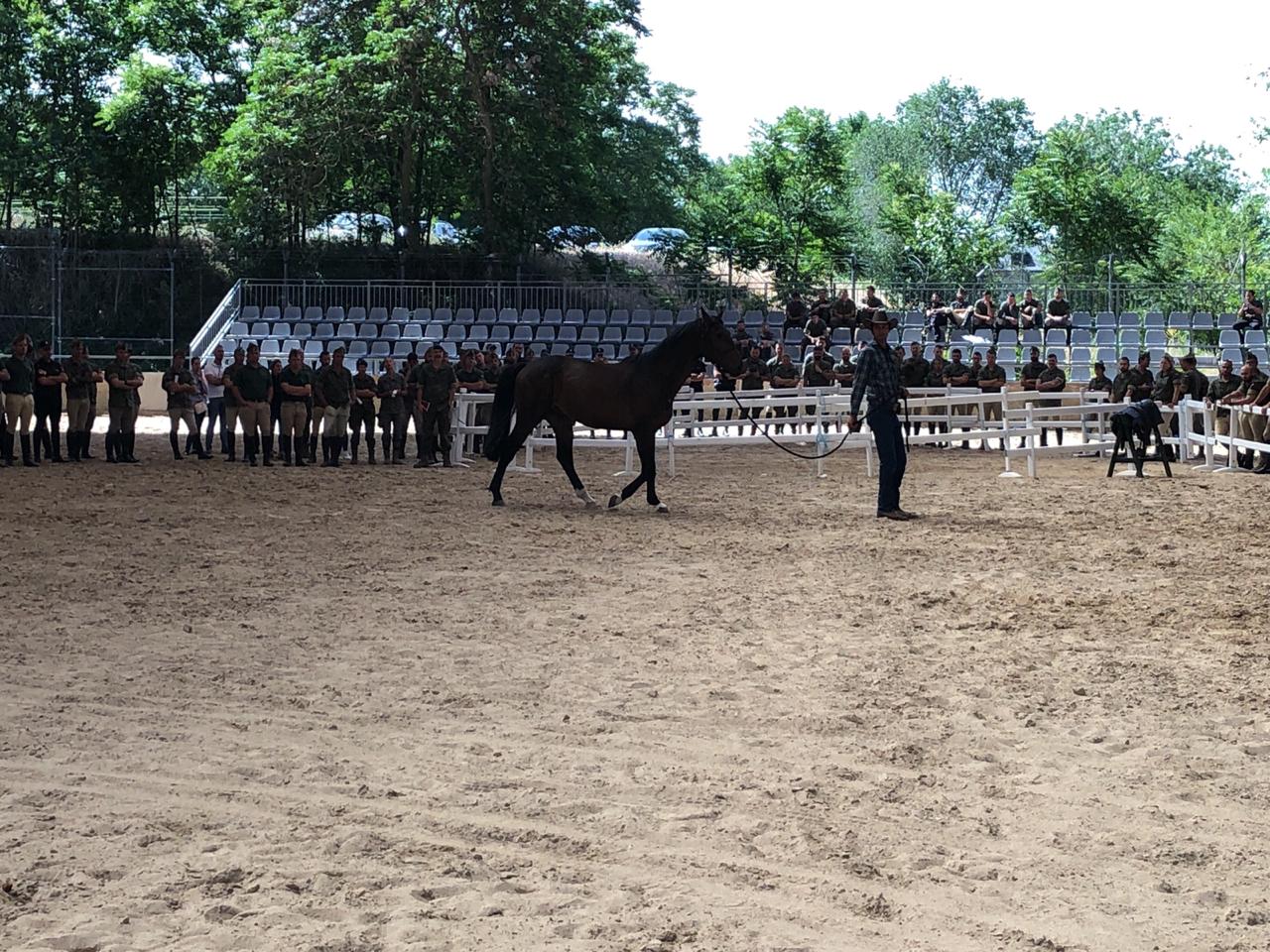 Guillón Ramírez en un momento de la práctica con los caballos