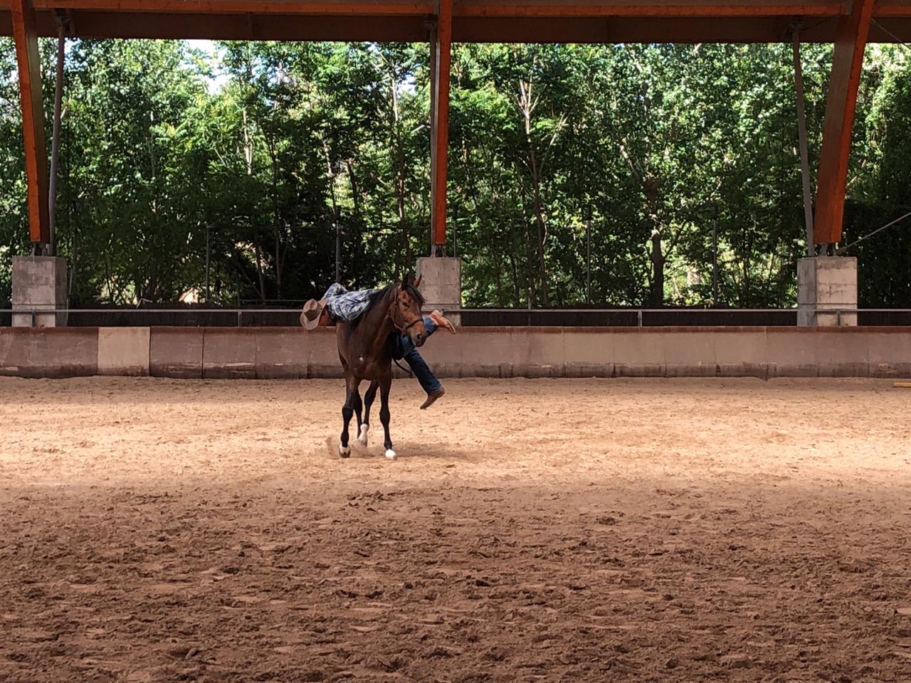 Una instantánea del momento final