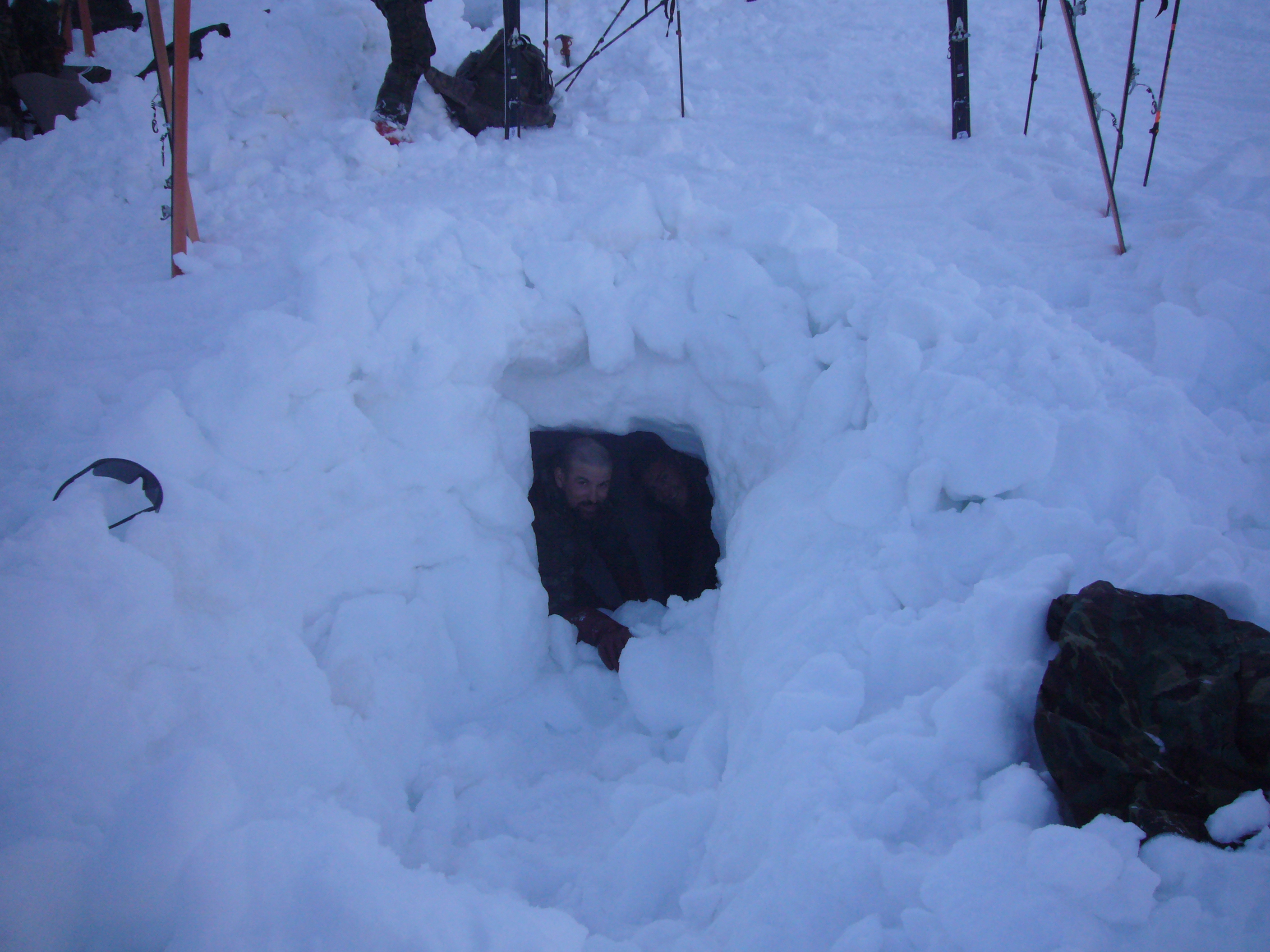 Adaptación al medio