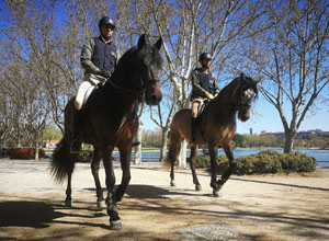 Patrulla a caballo por la Casa de Campo de Madrid