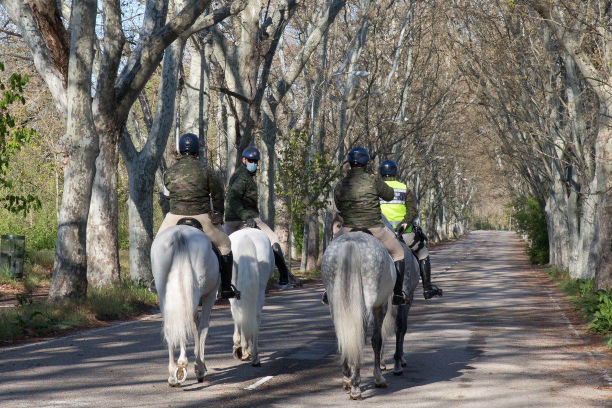 Patrulla a caballo por la Casa de Campo
