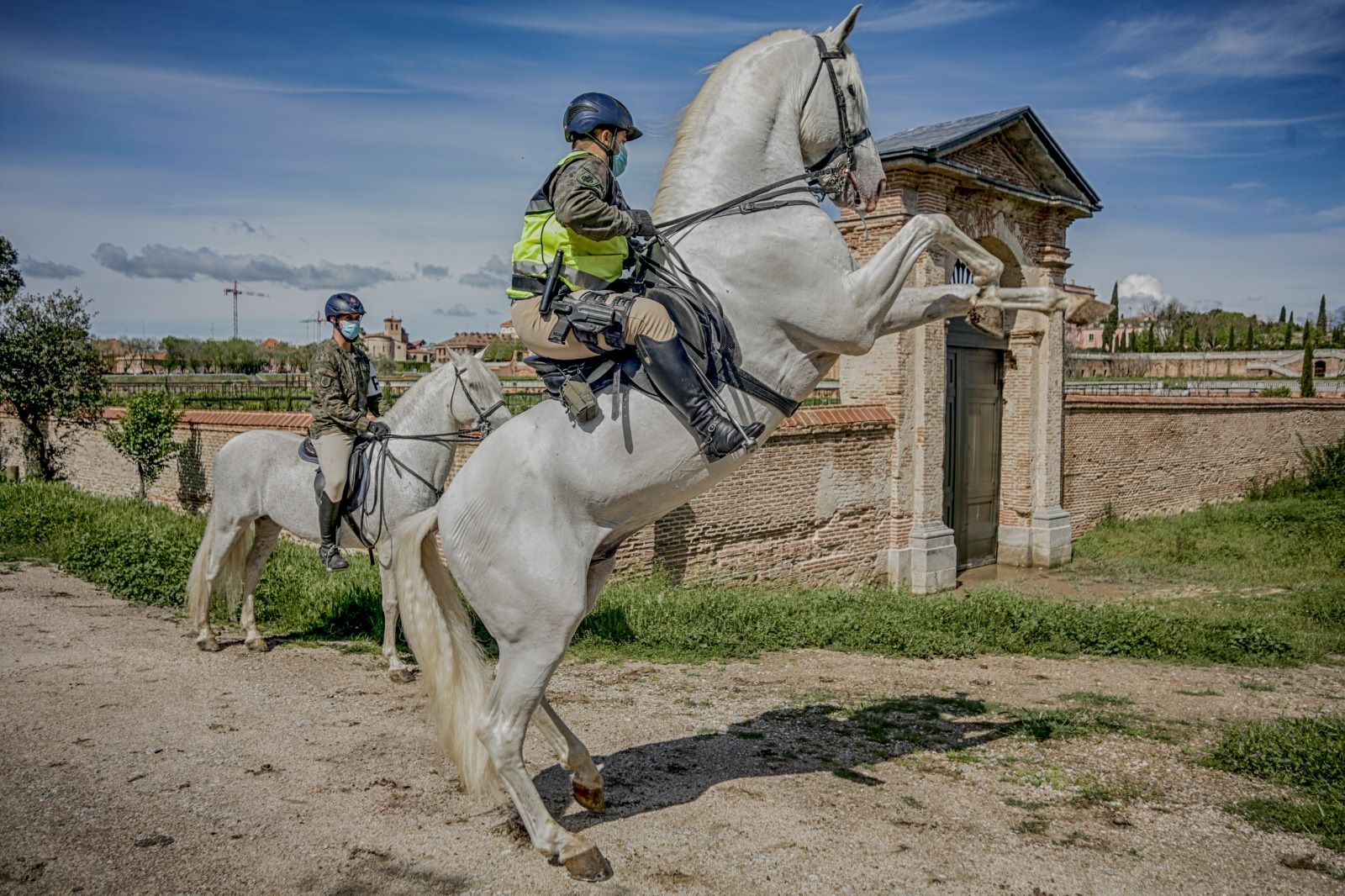 Patrullas por el monte de Boadilla (foto Ricardorubiooficial)