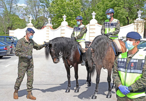 S. M. el Rey con personal de las unidades montadas que ha participado en las patrullas a caballo