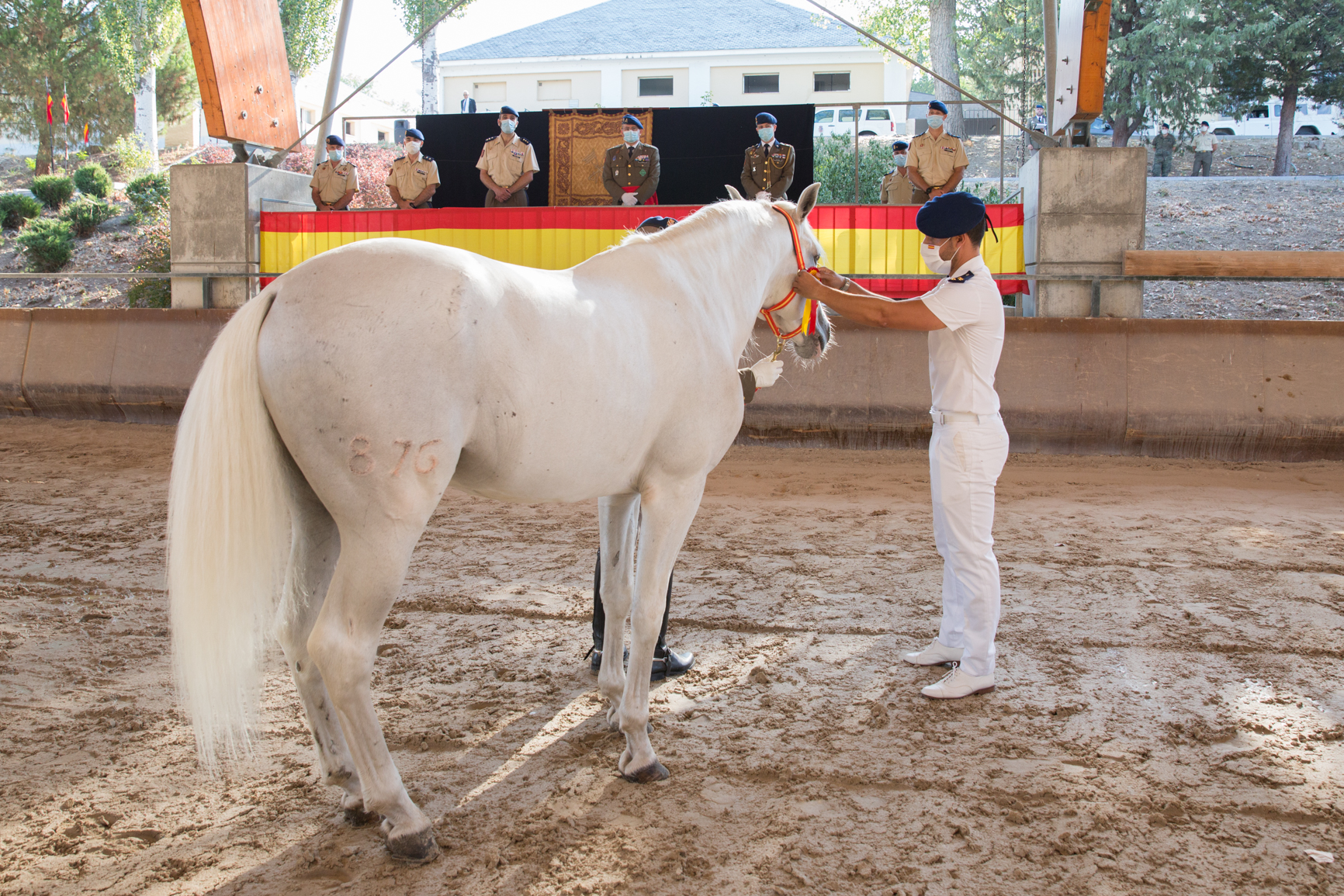 El caballo Gestado, caballo del año del Escuadrón de Escolta Real