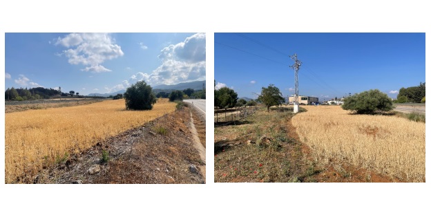 Texto no disponible Rústico