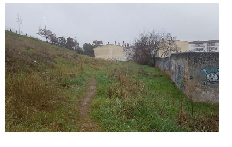 Texto no disponible Pendiente