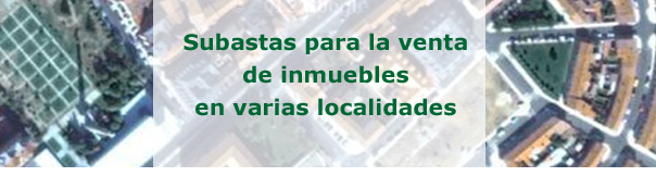 Venta de inmuebles por subasta