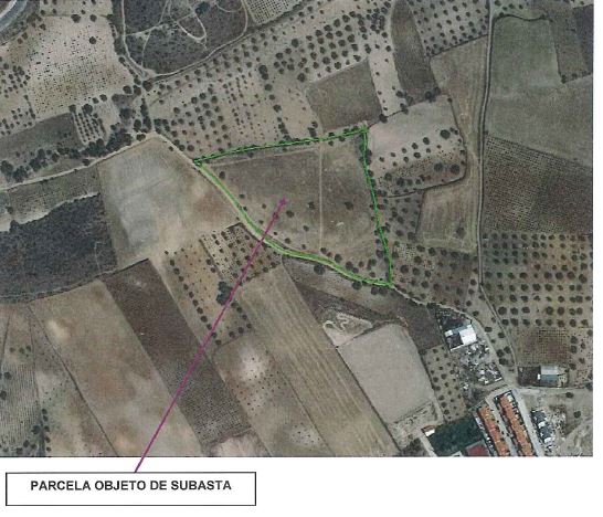 Texto no disponible Rústico