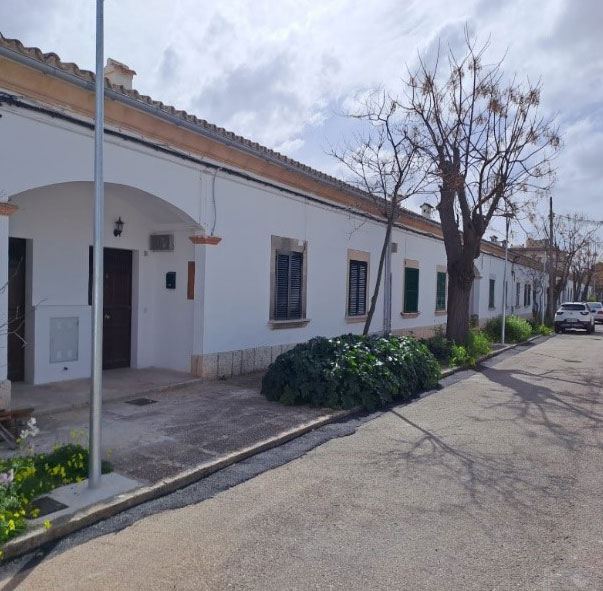 palma2