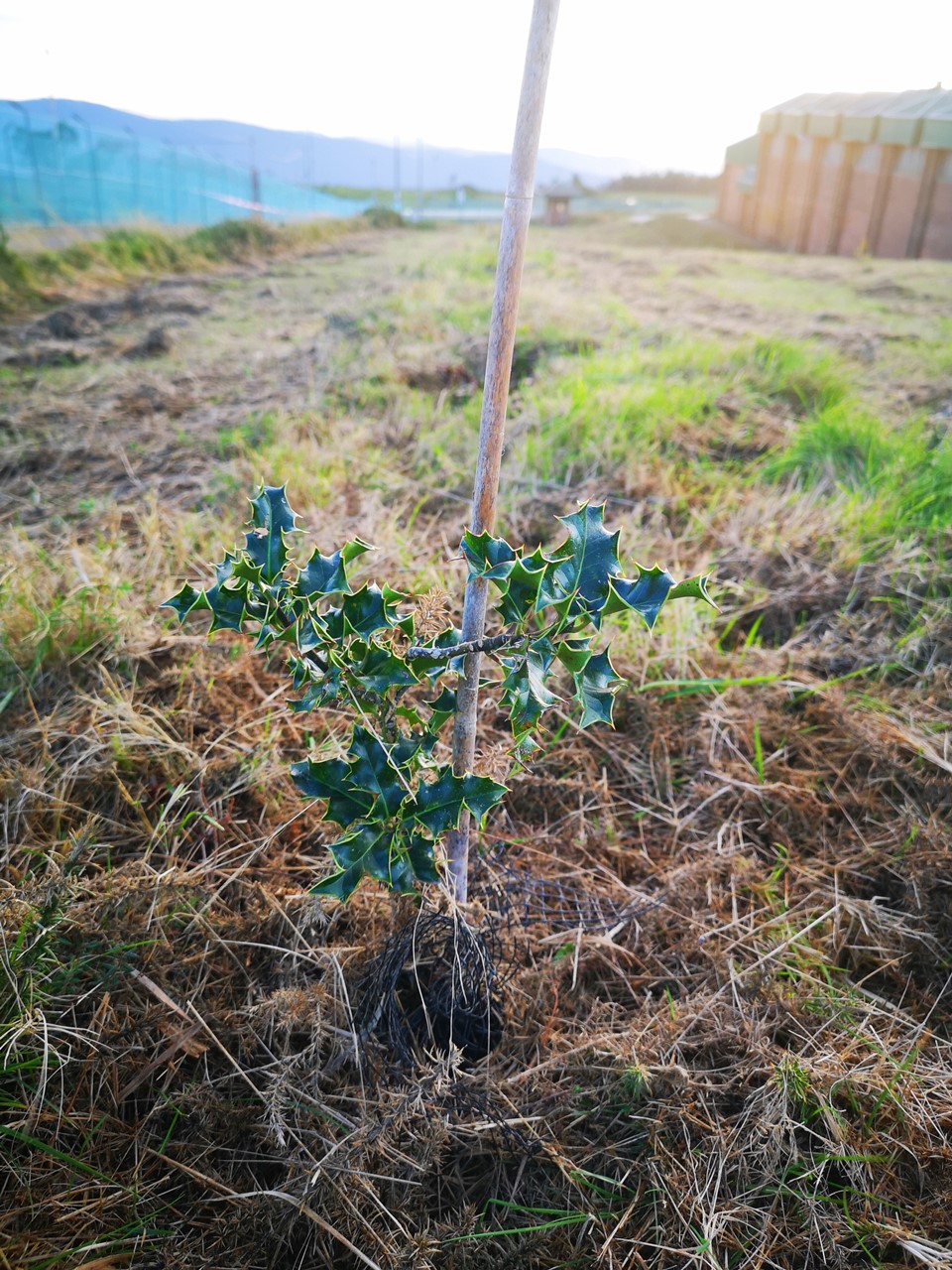 Acuartelamiento aéreo Barbanza (La Coruña)