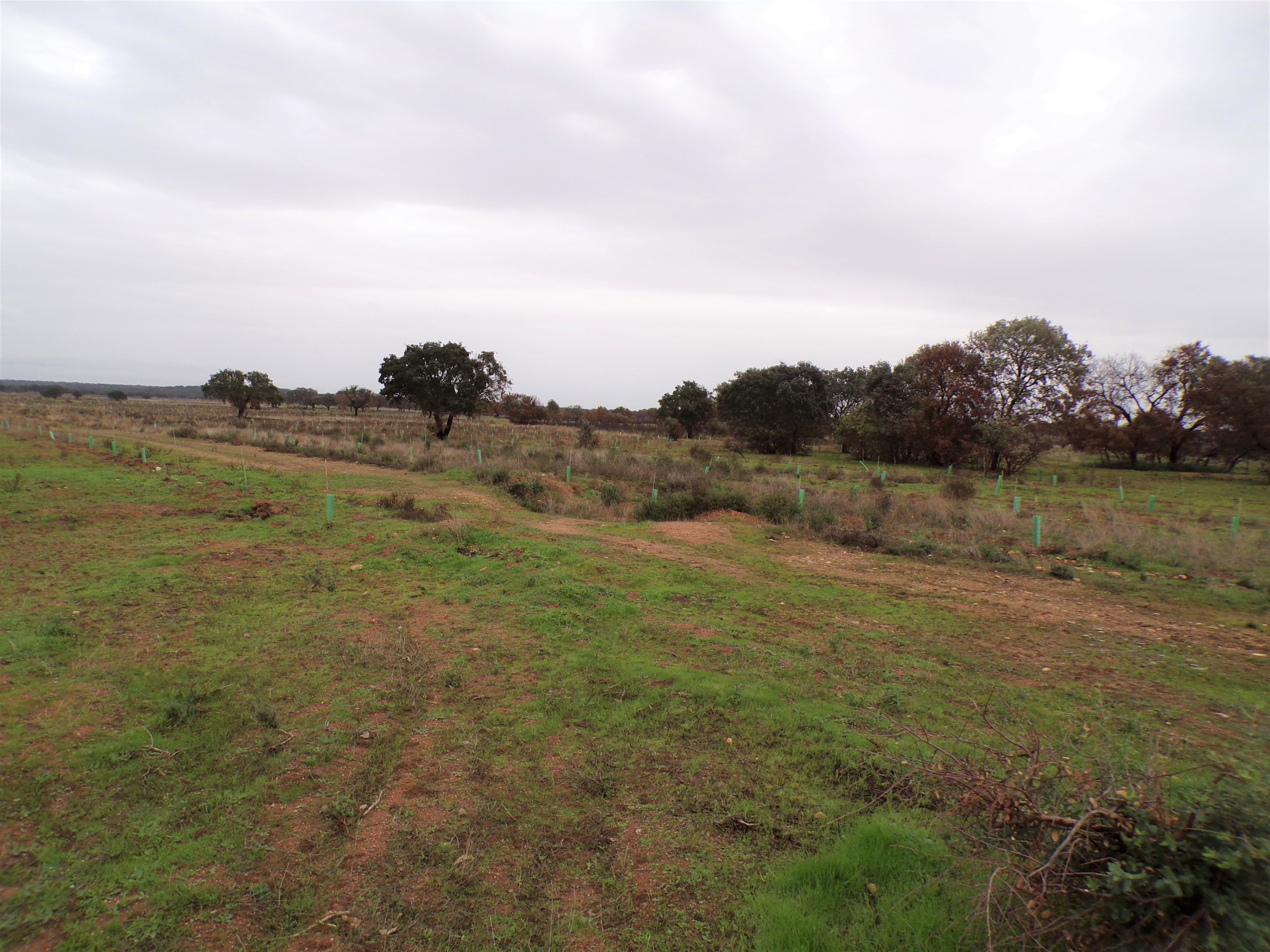 Base General Menacho (Badajoz)
