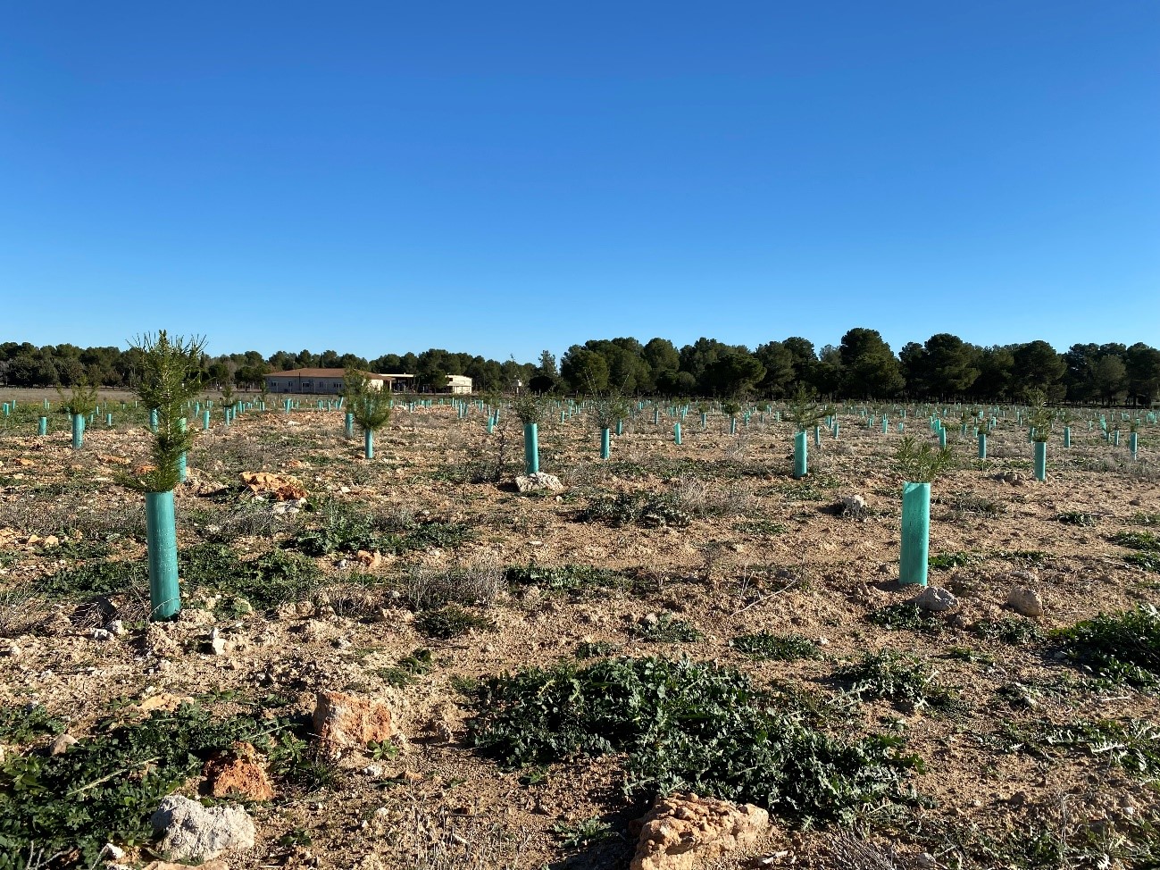 Base Sánchez Bilbao (Ciudad Real)