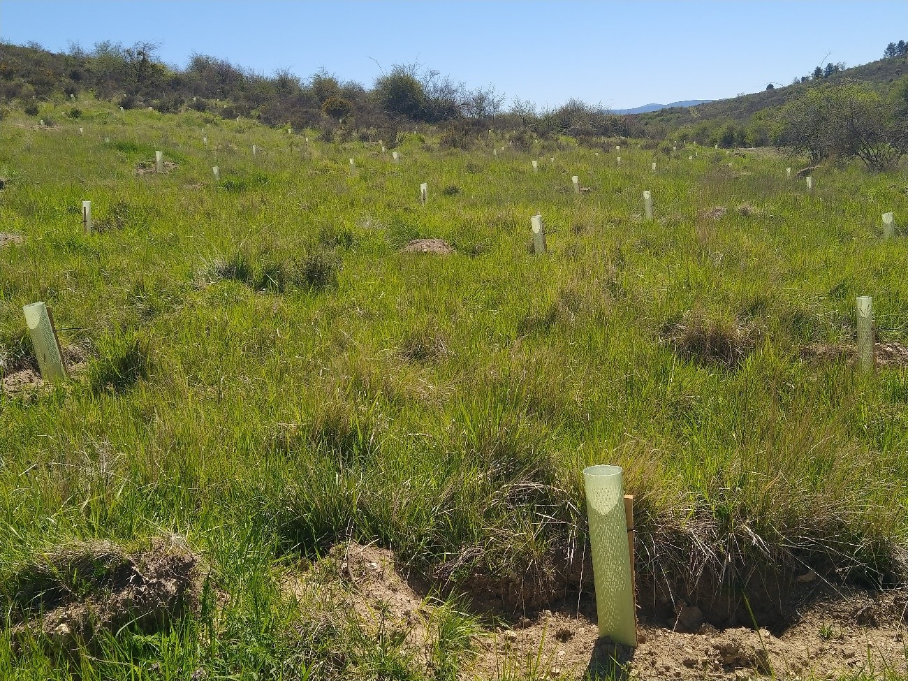 CMT Matagrande (Burgos)