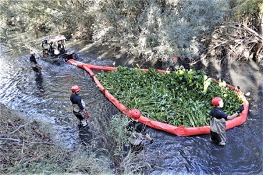 UME en incendio forestal
