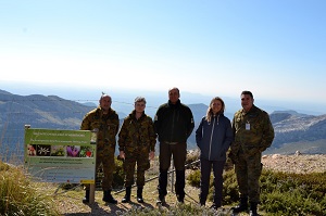 Convenio Flora vascular