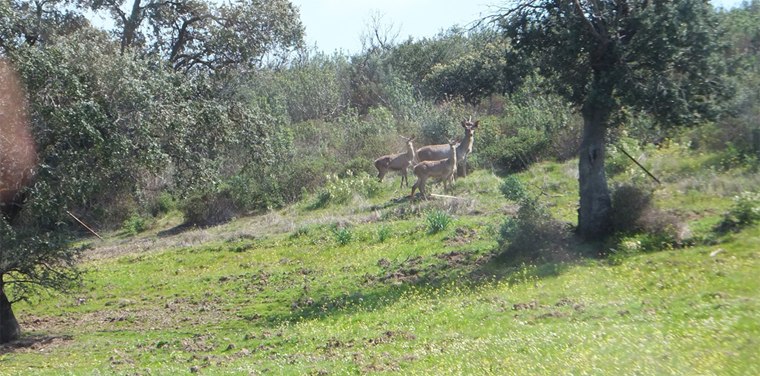 Convenios de cooperación del Ministerio de Defensa con Organismos estatales y de las Comunidades Autónomas