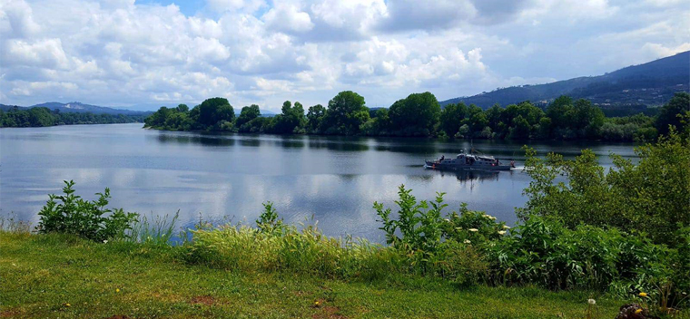Biodiversidad rio Miño