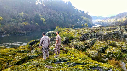 Biodiversidad rio Miño