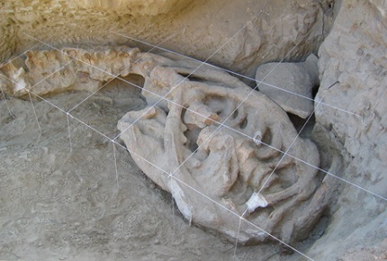 Yacimiento de vertebrados