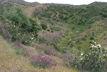 Campo de Maniobras de Cerro Muriano (Córdoba)