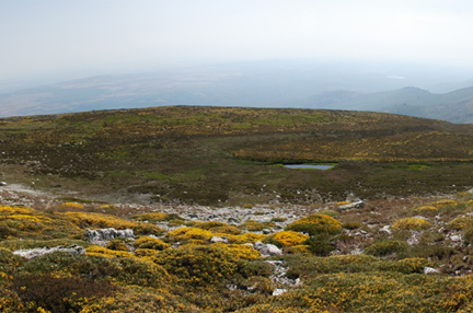 Paisajes apalachianos