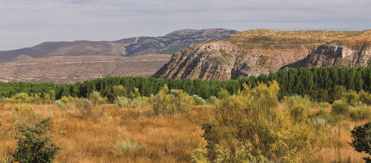 Geodiversidad y patrimonio geológico